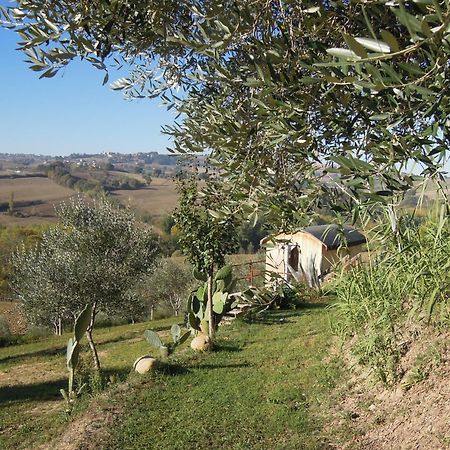 La Luna Nell'Orto-Casa Vacanza Ecologica E Agricoltura Biodinamica Barchi エクステリア 写真