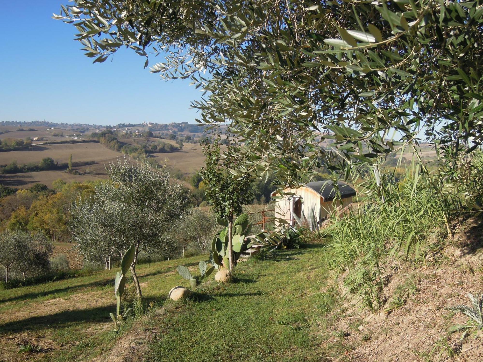 La Luna Nell'Orto-Casa Vacanza Ecologica E Agricoltura Biodinamica Barchi エクステリア 写真