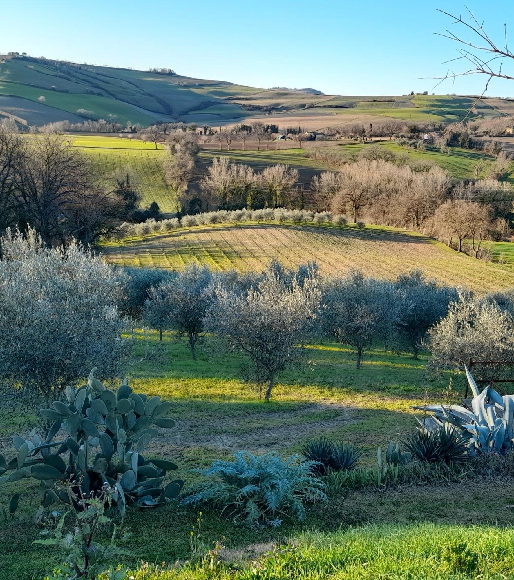La Luna Nell'Orto-Casa Vacanza Ecologica E Agricoltura Biodinamica Barchi エクステリア 写真